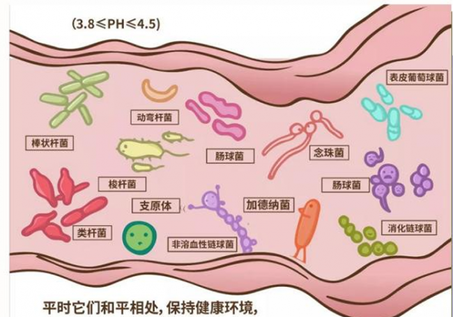 护安欣倡议建立中国女性生殖微生态数据库