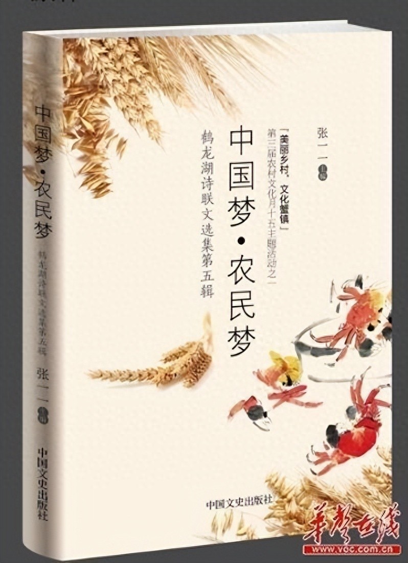 乡村振兴典型人物张一一：农文旅体康融合建设和美乡村