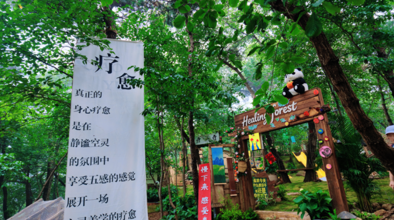 登高龟蒙共赴福寿山河之旅 沂蒙山龟蒙景区秋日系列活动正式启幕
