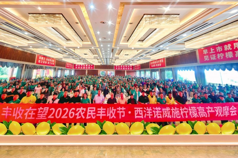 千人庆丰收！西洋诺威施柠檬高产观摩会圆满举行