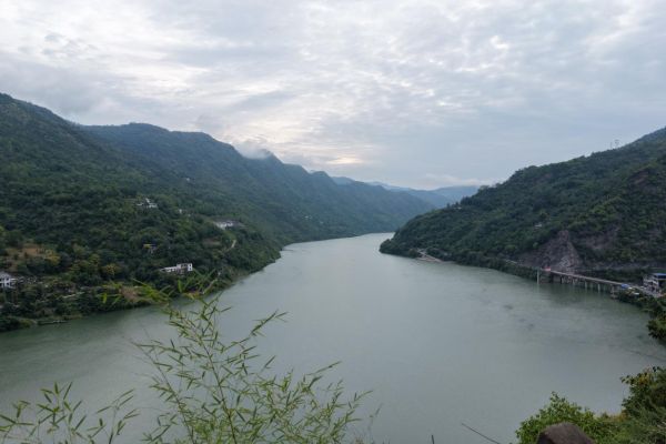 践行十五五乡村振兴部署，秦岭高山凰产业赋能助农增收